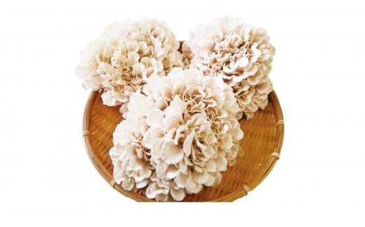 324K.白まいたけ三昧・満足セット