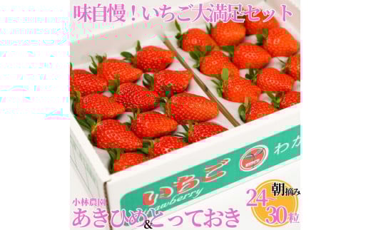 34K.■小林農園■味自慢!いちご大満足セット