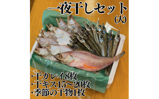 58K.■浜下商店■一夜干しセット〔大〕