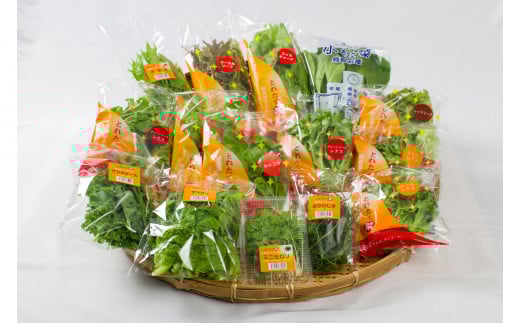 128K.採れたて野菜詰合せセット
