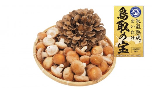 124K.氷温熟成舞茸『鳥取の宝』とどっさりしいたけの満ぷくセット