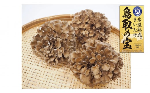 120K.氷温熟成舞茸『鳥取の宝』大満足セット