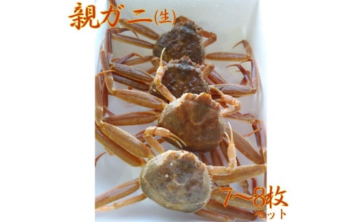 46K.鳥取県産親ガニ〔生〕 7~8枚セット