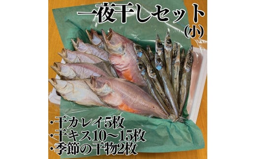 59K.■浜下商店■一夜干しセット〔小〕
