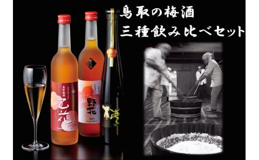 107K.鳥取の梅酒･三種飲み比べセット