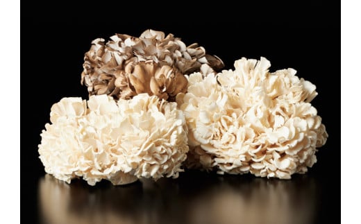 117K.氷温熟成舞茸グルメセット