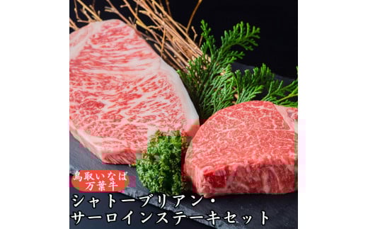 75K.◆鳥取いなば万葉牛◆シャトーブリアン･サーロインステーキセット