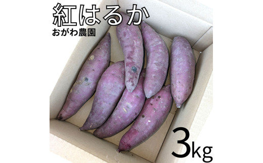 131K.おがわ農園 紅はるか3kg