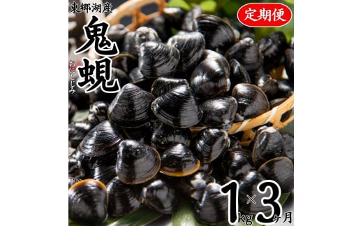 57K.東郷湖産鬼蜆〔おにしじみ〕1kg〔定期便〕