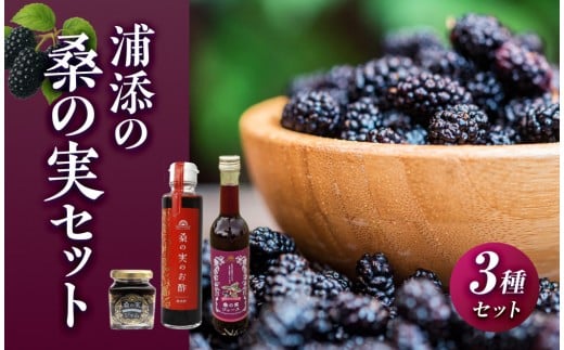 浦添の桑の実セット|沖縄県 浦添市 果物類 桑の実 セット 食品 人気 フルーツ くだもの 沖縄 美健 桑の実セット 健康 美容