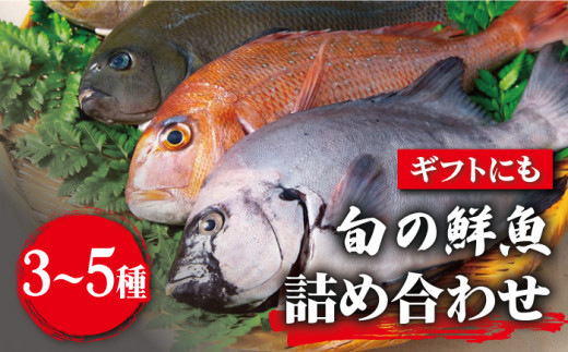 【朝どれピチピチの鮮魚をお届け！】旬の鮮魚 詰め合わせ セット 3～5種類【松園水産】 [RBO011]