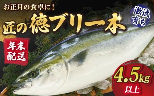 【年末配送！12/27～12/30着日指定必須】匠の徳ぶり 上五島産 （4.5kg以上） ぶり ブリ 鰤 ぶりしゃぶ しゃぶしゃぶ 刺身 鮮魚 海鮮 魚 五島 五島列島 上五島 長崎 国産 新鮮 養殖 冷蔵 鍋 海鮮鍋 贈答 年末 正月 年内配送 日付指定可能 日付指定 年内発送 年内配送  【徳丸】 [RAC001]