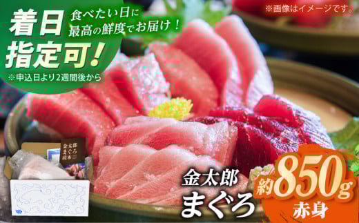 【最速発送】【数量限定！】【どこを切ってもうまい！濃厚な味わい】金太郎 マグロ 冷凍 ブロック 赤身 約850g【徳丸】 [RAC014]  スピード発送 最短発送