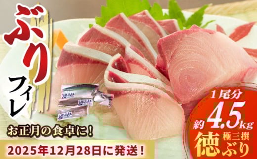 【数量限定】【年末配送！12/29・12/30どちらかにお届け】【時間指定必須】 ブリ フィレ 徳ぶり 極三撰（4.5kg程度1尾分）【徳丸】[RAC020]ぶり ブリ 鰤 ぶりしゃぶ しゃぶしゃぶ 新鮮 海鮮 魚 鮮魚 刺身 国産 養殖 冷蔵 期間限定 年末 年内配送 鍋 なべ 五島 五島列島 上五島 長崎 処理済み 年内配送  年内発送 正月