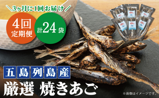 【年4回定期便】3ヶ月に1回お届け！ 厳選 焼きあご 100g×6袋【新魚目町漁業協同組合】 [RBC006]