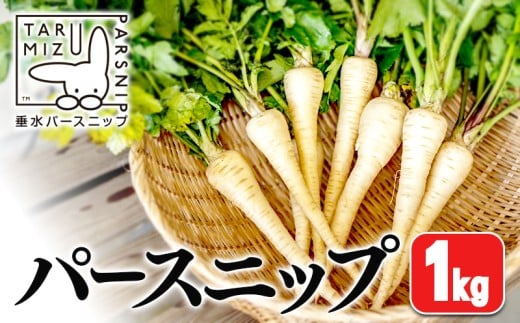 A1-5712/パースニップ 1kg