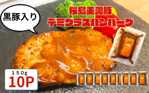 A1-0443/鹿児島県産 桜島美湯豚 デミグラスソース ハンバーグ 150g×10個