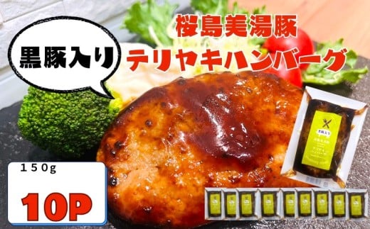 A1-0444/鹿児島県産 桜島美湯豚 てりやきソース ハンバーグ 150g×10個