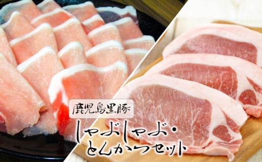 B2-1609/鹿児島黒豚しゃぶしゃぶ・とんかつセット