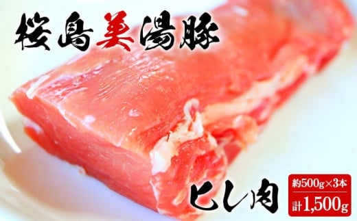 B2-3072/桜島美湯豚 ヒレ肉×3本