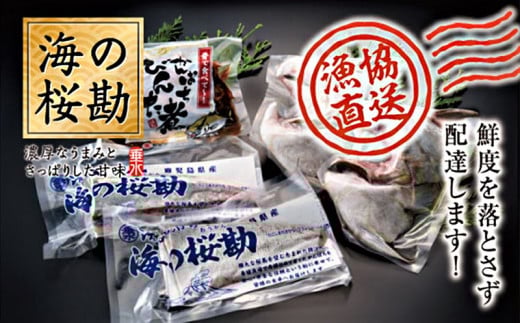 A1-0127/『海の桜勘』味わいセット