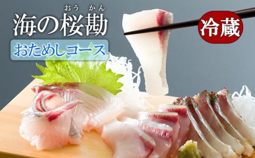 A1-0124/『海の桜勘』おためしコース