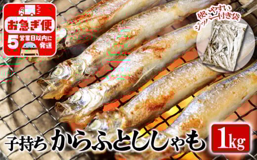 W-1804/冷凍 子持ち からふとししゃも 1kg