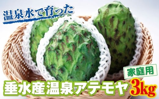 B2-22135/【家庭用】 垂水産温泉アテモヤ 3kg 森のアイスクリーム 希少な国産アテモヤ 訳あり