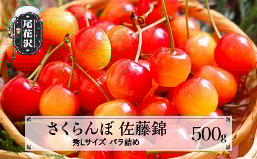 先行予約 2026年産 さくらんぼ 佐藤錦 秀Lサイズ 500g バラ詰め プレゼント ギフト 令和8年産 山形県産 ns-snslb500