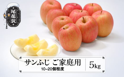 先行予約 訳あり りんご サンふじりんご 5kg (10～20個程度) 無印品 11月中旬頃~発送 2025年産 令和7年産 山形県産  フルーツ 果物 佐竹物産 sb-risfw5