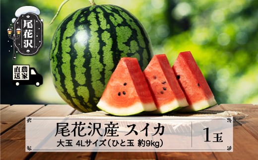 先行予約 尾花沢産スイカ 4Lサイズ 約9㎏×1玉 7月下旬～8月中旬頃発送 令和8年産 2026年産 尾花沢産 スイカ すいか 西瓜 果物 くだもの フルーツ 観光物産  kb-su4xx1