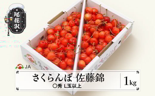 先行予約 さくらんぼ 佐藤錦 1kg バラ ◯秀 L玉以上 令和8年産 2026年産 山形県産 果物 フルーツ サクランボ ja-snbax1