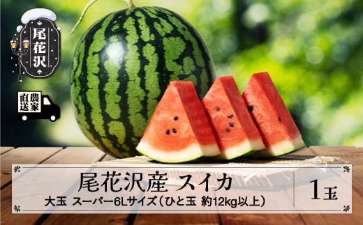 先行予約 尾花沢産スイカ スーパー6Lサイズ 約12㎏以上×1玉 7月下旬～8月中旬頃発送 令和8年産 2026年産 尾花沢産 スイカ すいか 西瓜 果物 くだもの フルーツ 観光物産 kb-sus6x1
