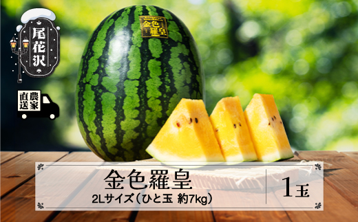 先行予約 金色羅皇 2Lサイズ 約7kg×1玉 7月下旬～8月中旬頃発送 令和8年産 2026年産 こんじきらおう 尾花沢産スイカ 尾花沢産 スイカ すいか 西瓜 果物 くだもの フルーツ 観光物産 kb-sukr21