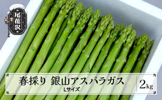春採り 銀山アスパラガス Lサイズ 2kg 5月中旬~発送 令和8年産 2026年産 銀山アスパラガス 春アスパラガス グリーンアスパラガス アスパラガス 銀山アスパラ 春アスパラ アスパラ 産地直送 山形県 尾花沢市 nk-vga1x2