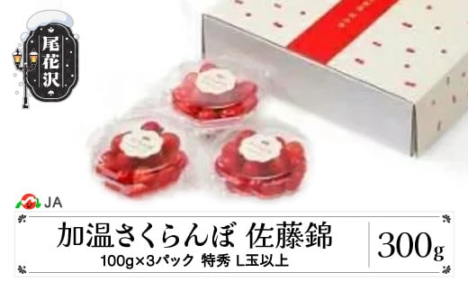 先行予約 加温 ハウス さくらんぼ 佐藤錦 ダイヤパック100g×3P 特秀L玉以上 早出し 4月下旬~5月上旬頃発送 山形県産 令和7年産 2025年産 サクランボ ja-snpcx300