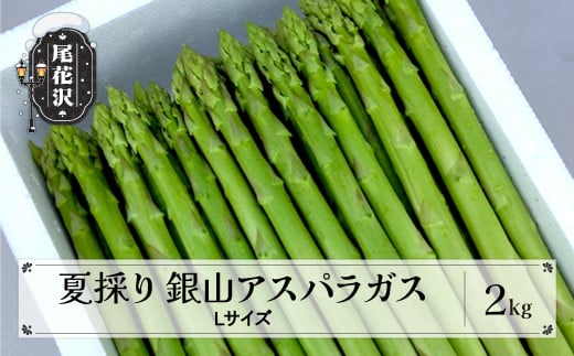 夏採り 銀山アスパラガス Lサイズ 2kg 7月上旬~発送 令和7年産 2025年産 山形県尾花沢市 アスパラ アスパラガス 銀山アスパラ グリーンアスパラガス nk-vga1n2