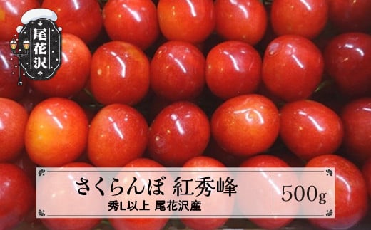 先行予約 さくらんぼ 紅秀峰 500g 秀 Lサイズ以上 2026年産 令和8年産 山形県産 尾花沢産 ※2026年6月下旬頃より順次発送予定 kb-bskzx500