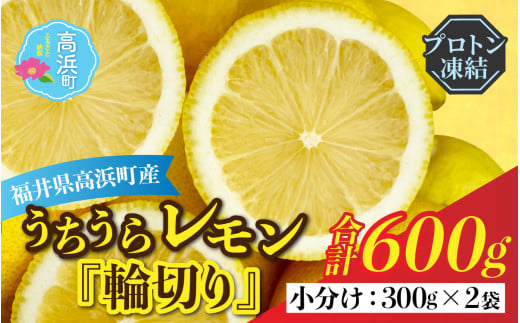 国産うちうらレモン 輪切り 小分け【急速冷凍】（プロトン凍結）