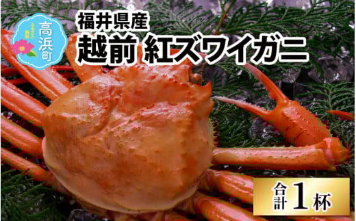 【先行予約】【12月発送】【数量限定】福井県産 越前紅ズワイガニ × 1杯 | ゆで蟹 紅ズワイガニ カニ ズワイガニ 紅ずわいがに かに 紅ズワイガニ カニ ズワイガニ 紅ずわいがに かに 紅ズワイガニ カニ ズワイガニ 紅ずわいがに かに カニ ズワイガニ 紅ずわいがに 紅ズワイガニ カニ ズワイガニ 紅ずわいがに かに カニ 冷蔵 チルド 北陸 ゆで蟹  かにみそ かに鍋 かにしゃぶ ボイル