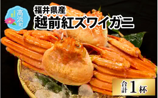 【先行予約】【12月発送】【数量・期間限定】福井県産 越前 紅ズワイガニ ×1杯【急速冷凍】（プロトン凍結） ｜ 紅ずわいがに ずわいがに ズワイガニ かに 蟹 カニ  かにみそ かに鍋 かにしゃぶ ボイル
