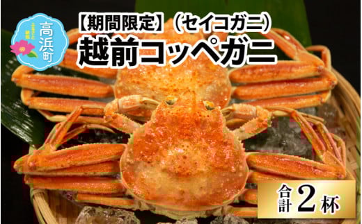 【先行予約】【数量・期間限定】福井県産 越前コッペガニ（セイコガニ）×2杯【急速冷凍】（プロトン凍結）【11月中旬より順次発送】 ｜ せいこがに セイコガニ せいこ蟹 蟹 かに カニ 越前ガニ 越前がに