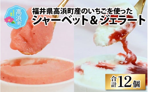 福井県高浜町産のいちごを使った、シャーベット6個 ジェラート6個