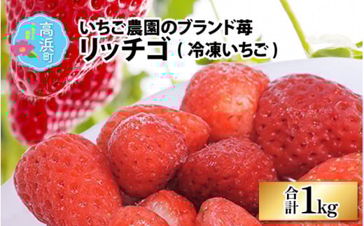 いちご農園のブランド苺【リッチゴ】(冷凍いちご×1kg) | 冷凍 冷凍フルーツ 果物 青果 フルーツ デザート スイーツ 苺 いちご イチゴ 糖度 大粒 ギフト 贈り物 ブランド 国産 福井県 甘い