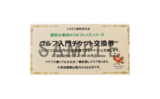 ゴルフ入門チケット【1297577】