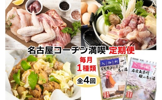 名古屋コーチン 満喫定期便 (純系名古屋コーチン1羽、ひきずりセット、鶏ちゃん焼みそ味、いわくら入浴剤)｜地鶏 鶏肉 鳥肉 とりにく チキン グルメ 入浴剤 定期 愛知 [0780]