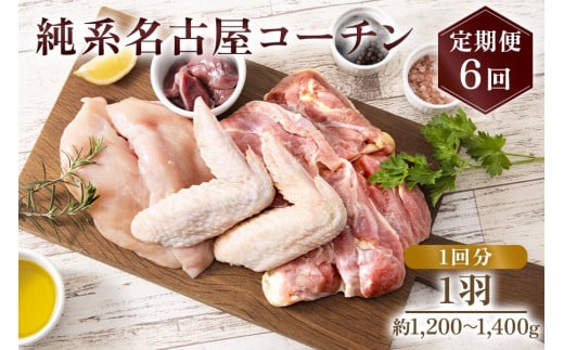 純系名古屋コーチン 定期便 (1羽×6回)｜コーチン 鶏肉 鳥肉 とり肉 塊肉 定期便【0874】