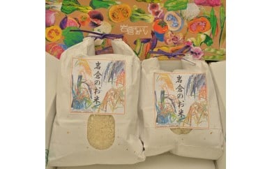 [特別精米による限定品] あいちのかおり12kg(6kg×2袋)｜米 おこめ 愛知 ブランド 精米 [0707]