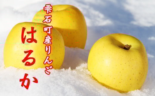フルーツ大国! 岩手県産 家庭用 りんご はるか 2.5kg / 自宅用 リンゴ 林檎 果物 フルーツ 【谷地農園】