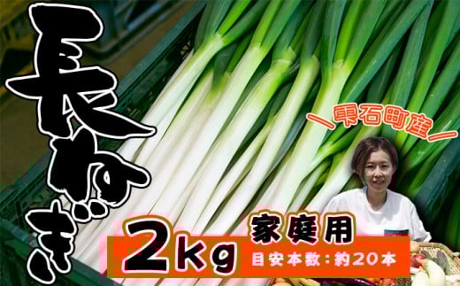 岩手県産 極楽野 長ねぎ 2kg 目安本数 約 20本 家庭用 【高橋農園】／ 長ネギ 長葱 ねぎ ネギ 葱 白ねぎ 白ネギ 白葱 新鮮 野菜 やさい 人気野菜 国産 EM栽培 産地直送 農家直送 季節限定 期間限定 人気 薬味 鍋 串焼き おすすめ